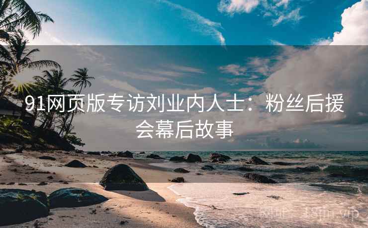 91网页版专访刘业内人士：粉丝后援会幕后故事