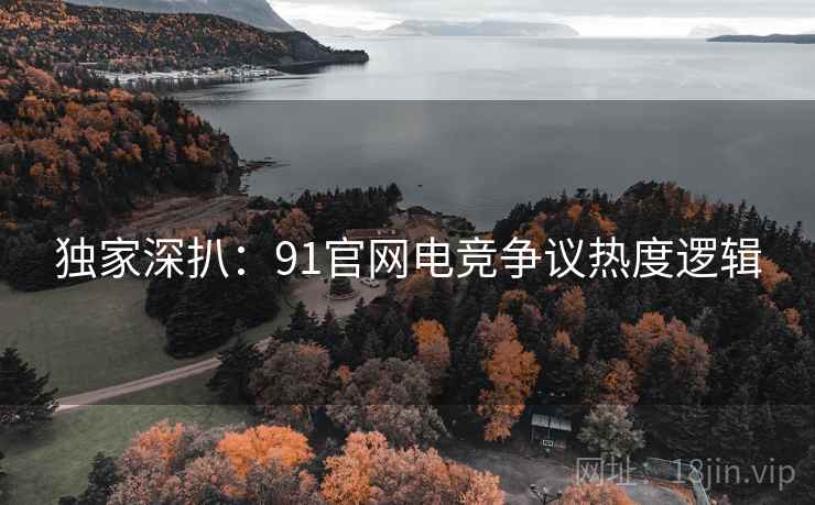 独家深扒：91官网电竞争议热度逻辑