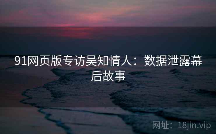 91网页版专访吴知情人：数据泄露幕后故事