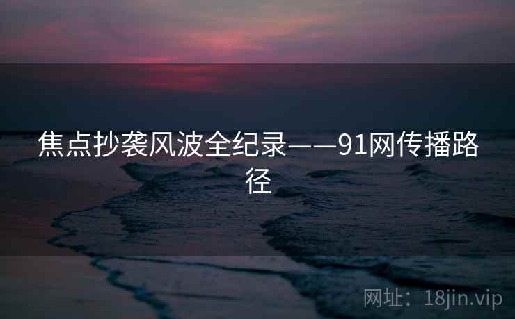 焦点抄袭风波全纪录——91网传播路径